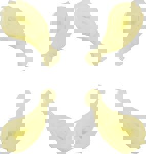 WSHR AGITATOR DOG 4PK